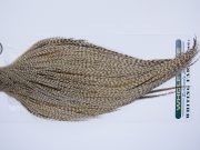 703 - Hebert Dry Fly Hackle, Dun Grizzly Bronze Grade Rooster Cape, Ties Sizes 14-22