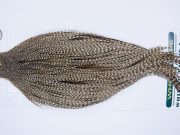 704 - Hebert Dry Fly Hackle, Dun Grizzly Bronze Grade Rooster Cape, Ties Sizes 12-20