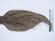710 - Hebert Dry Fly Hackle, Dun Grizzly Pro Grade Rooster Cape, Ties Sizes 14-20