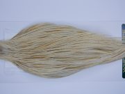 751 - Hebert Dry Fly Hackle, Variant Bronze Grade Rooster Cape, Ties Sizes 12-18