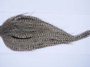 9425 - JimsFlyCo Dry Fly Hackle, Grizzly Dun Variant #1 Grade Rooster Cape, Ties Sizes 12-22