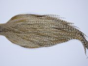 9792 - JimsFlyCo Dry Fly Hackle, Grizzly Variant #1 Grade Rooster Cape, Ties Sizes 10-20
