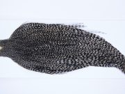 9906 - JimsFlyCo Dry Fly Hackle, Grizzly Variant #2 Grade Rooster Cape, Ties Sizes 10-20