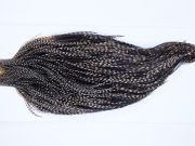 9907 - JimsFlyCo Dry Fly Hackle, Grizzly Variant #2 Grade Rooster Cape, Ties Sizes 10-22