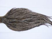 9909 - JimsFlyCo Dry Fly Hackle, Grizzly Variant #2 Grade Rooster Cape, Ties Sizes 10-18