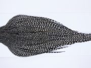 9919 - JimsFlyCo Dry Fly Hackle, Grizzly Variant #2 Grade Rooster Cape, Ties Sizes 10-18