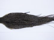 9920 - JimsFlyCo Dry Fly Hackle, Grizzly Variant #2 Grade Rooster Cape, Ties Sizes 10-20