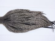 9921 - JimsFlyCo Dry Fly Hackle, Grizzly Variant #2 Grade Rooster Cape, Ties Sizes 8-18