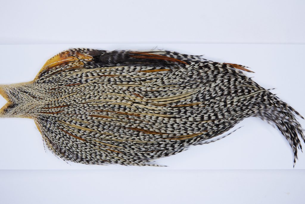 9925 - JimsFlyCo Dry Fly Hackle, Grizzly Variant #2 Grade Rooster Cape, Ties Sizes 12-20