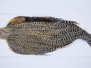 9925 - JimsFlyCo Dry Fly Hackle, Grizzly Variant #2 Grade Rooster Cape, Ties Sizes 12-20