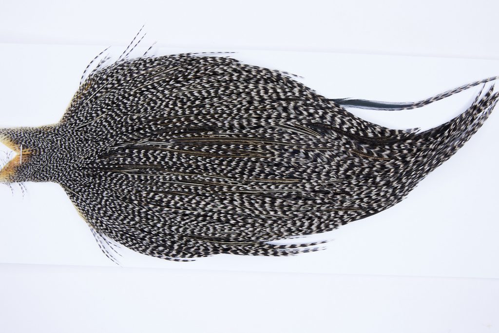 9930 - JimsFlyCo Dry Fly Hackle, Grizzly Variant #2 Grade Rooster Cape, Ties Sizes 10-18