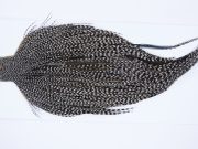 9930 - JimsFlyCo Dry Fly Hackle, Grizzly Variant #2 Grade Rooster Cape, Ties Sizes 10-18