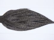 9931 - JimsFlyCo Dry Fly Hackle, Grizzly Variant #2 Grade Rooster Cape, Ties Sizes 10-18