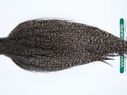 1086 Hebert Dry Fly Hackle, Bronze Grade Rooster Cape Grizzly Variant Ties Sizes 12-24