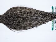 1097 Hebert Dry Fly Hackle, Bronze Grade 12-22 Grizzly Variant Ties Sizes 12-22