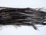 1352 Hebert Dry Fly Hackle, Bronze Grade Rooster Saddle Variant Ties Sizes 12-14