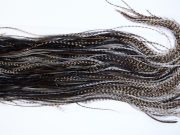 1356 Hebert Dry Fly Hackle, Bronze Grade Rooster Saddle Variant Ties Sizes 14-16