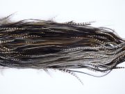 1398 Hebert Dry Fly Hackle, Pro Grade Rooster Saddle Dun Grizzly Ties Sizes 12-14