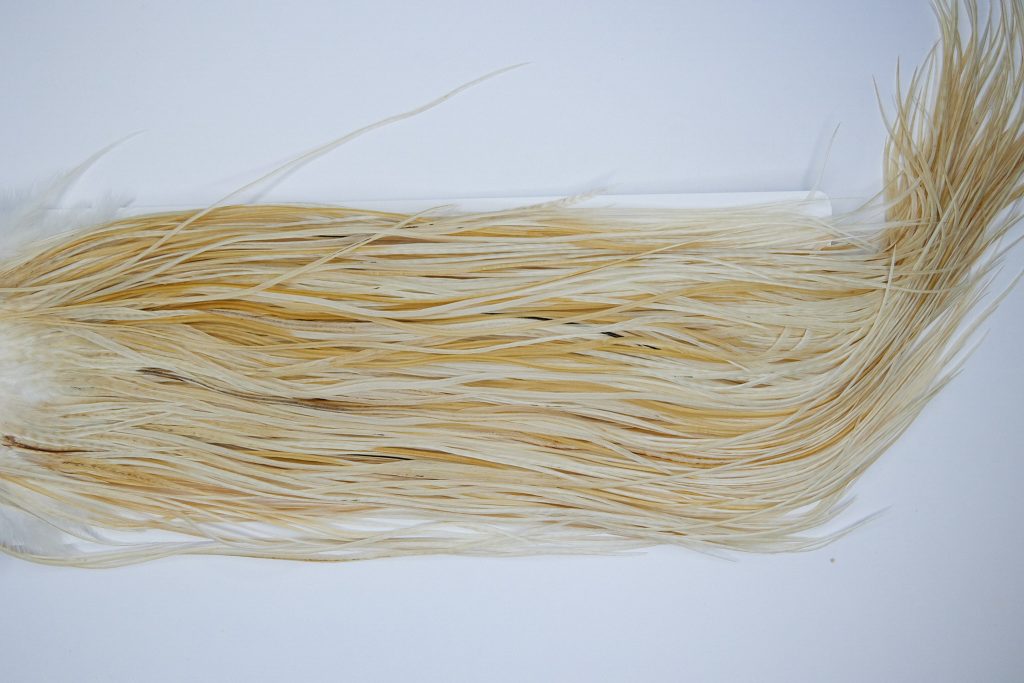 1546 Whiting Gold Grade Rooster Saddle Variant Ties Sizes 14-16