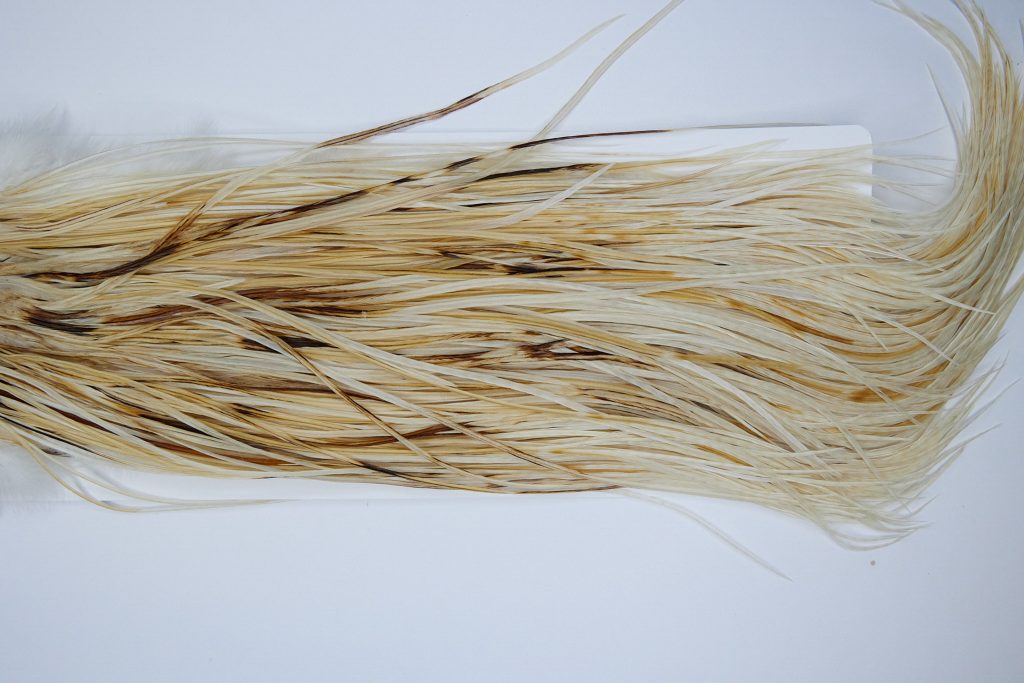 1547 Whiting Gold Grade Rooster Saddle Variant Ties Sizes 14-16