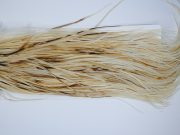 1547 Whiting Gold Grade Rooster Saddle Variant Ties Sizes 14-16