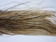 1621 Whiting Dry Fly Hackle, Bronze Grade Midge Saddle Medium Barred Ginger Ties Sizes 18-20