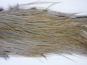 1650 Whiting Pro Grade Midge Saddle Variant Ties Sizes 16-18