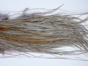 1654 Whiting Pro Grade Midge Saddle Variant Ties Sizes 16-18