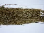 1686 Whiting Dry Fly Hackle, Pro Grade Midge Saddle Grizzly Golden Straw Ties Sizes 16-18
