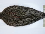 1717 Heritage Dry Fly Hackle, 1 Grade Rooster Cape Grizzly Variant Ties Size 10-22