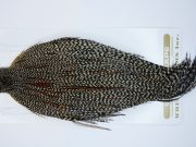 1718 Heritage Dry Fly Hackle, 1 Grade Rooster Cape Grizzly Variant Ties Size 8-22