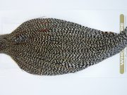 1725 Heritage Dry Fly Hackle, 1 Grade Rooster Cape Grizzly Variant Ties Size 8-22