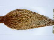 1752 Heritage Dry Fly Hackle, 2 Grade Rooster Cape Barred Ginger Ties Size 10-22