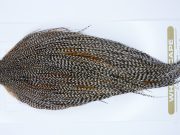 Whiting Heritage Rooster Cape Dun Grizzly Fly Tying Hackle