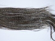 Whiting Heritage Rooster Saddle Grizzly Variant Fly Tying Hackle