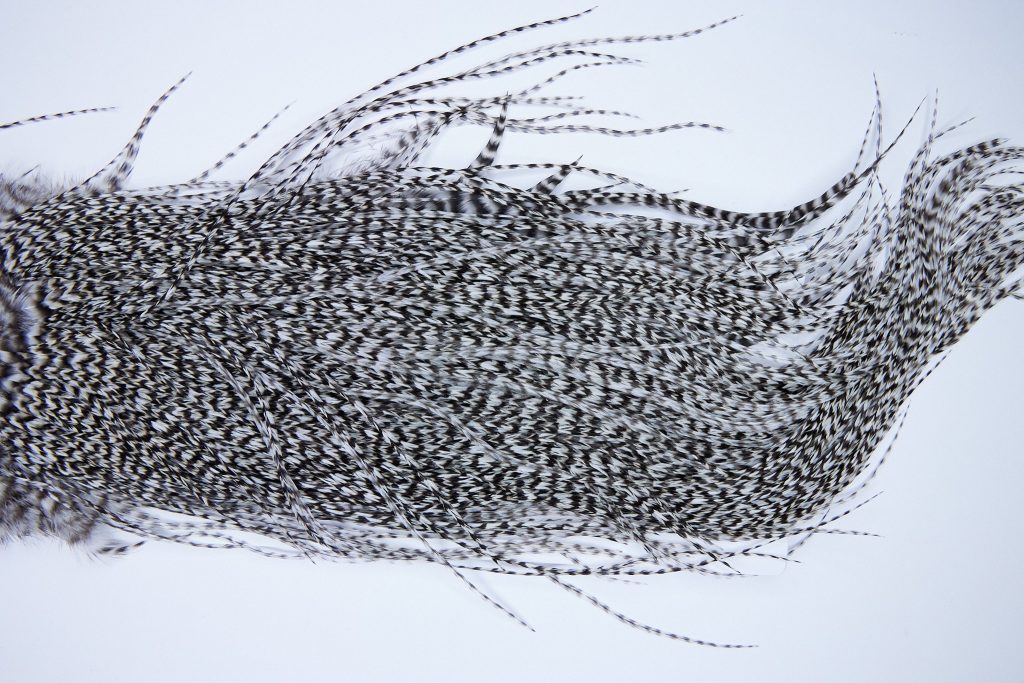 Whiting Heritage Rooster Saddle Grizzly Variant Fly Tying Hackle