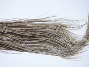 Whiting Heritage Rooster Saddle Variant Fly Tying Hackle