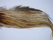Whiting Heritage Rooster Saddle Honey Dun Fly Tying Hackle