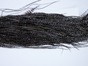 Whiting Heritage Rooster Saddle Variant Fly Tying Hackle