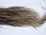 Whiting Heritage Rooster Saddle Variant Fly Tying Hackle