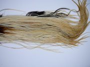 Whiting Heritage Rooster Saddle Variant Fly Tying Hackle