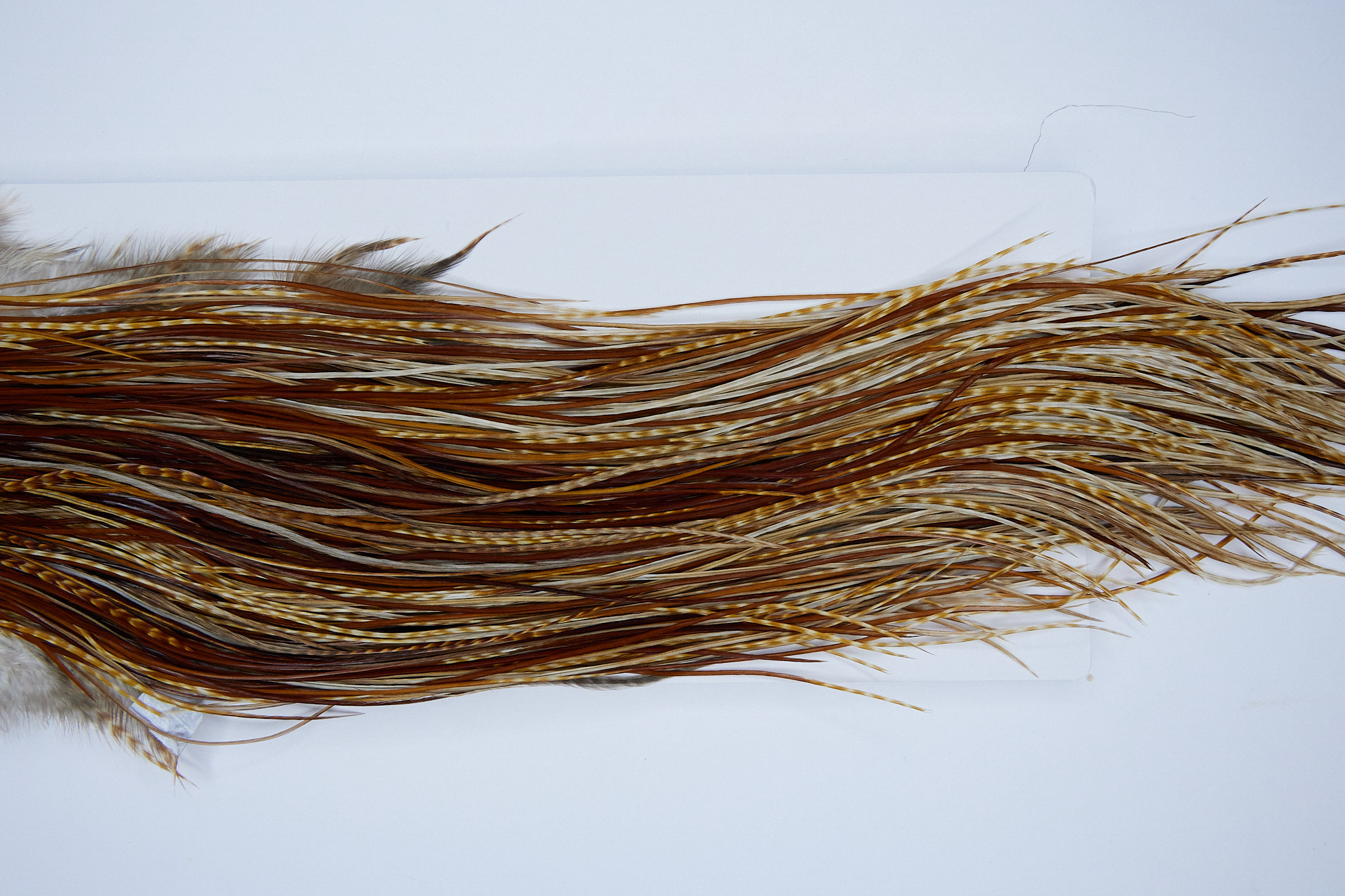 Whiting Heritage Rooster Saddle Barred Ginger Fly Tying Hackle