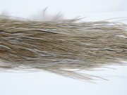 Whiting Heritage Rooster Saddle Heritage Dun Fly Tying Hackle