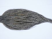 Yellowstone Rooster Cape Grizzly Variant Fly Tying Hackle