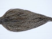 Yellowstone Rooster Cape Grizzly Variant Fly Tying Hackle