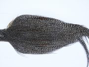 Yellowstone Rooster Cape Grizzly Variant Fly Tying Hackle