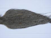 Yellowstone Rooster Cape Grizzly Variant Fly Tying Hackle