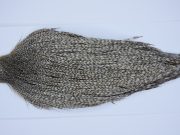 Yellowstone Rooster Cape Dun Grizzly Fly Tying Hackle