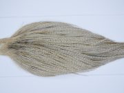 Yellowstone Rooster Cape Dun Grizzly Fly Tying Hackle