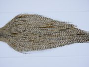 Yellowstone Rooster Cape Dun Grizzly Fly Tying Hackle